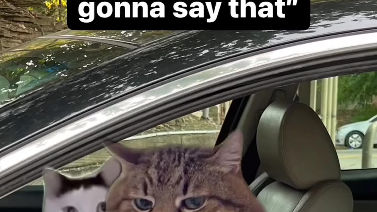 Hey bro 1 ice cream please 🍦