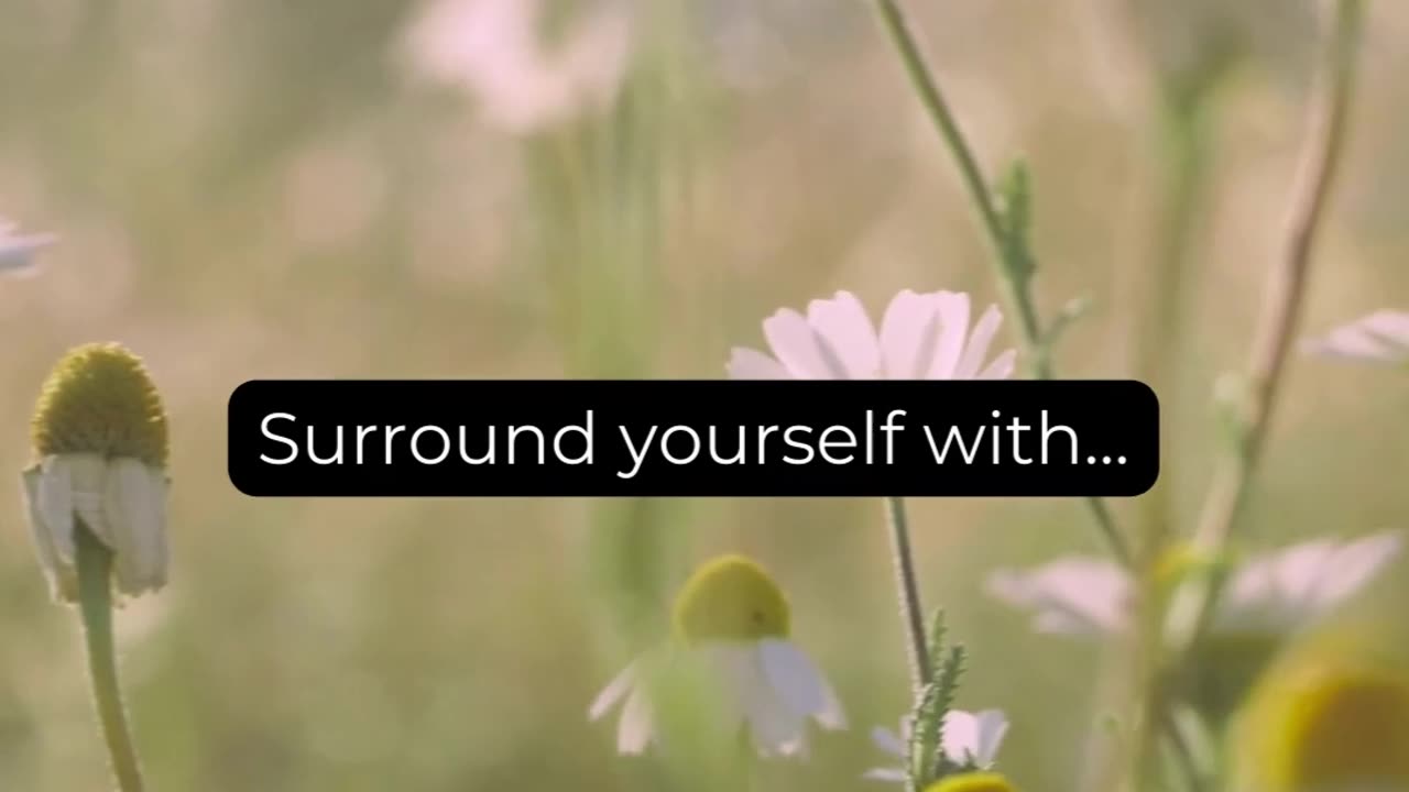 Surround yourself with