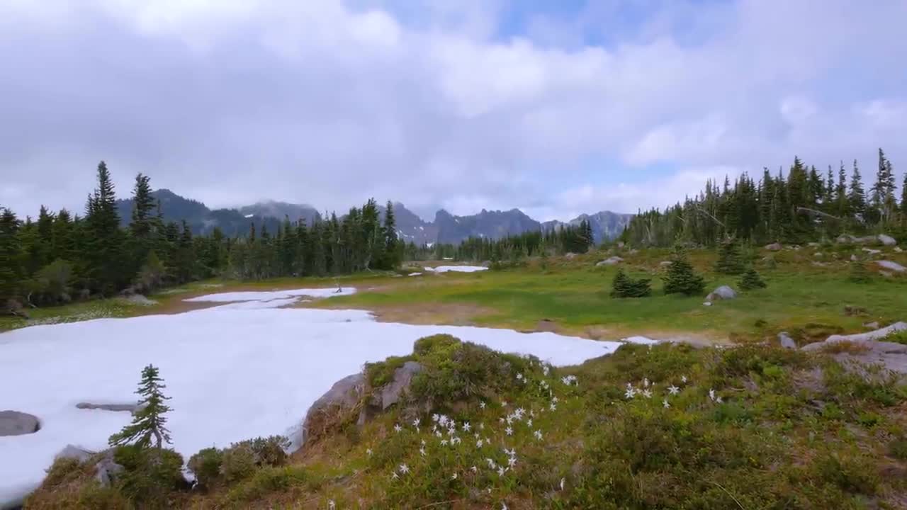 Mount Rainier National Park - Nature Relax Video, Summer Scenery