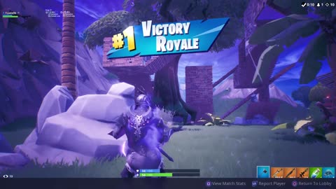 FORTNITE Solo Win Season 8