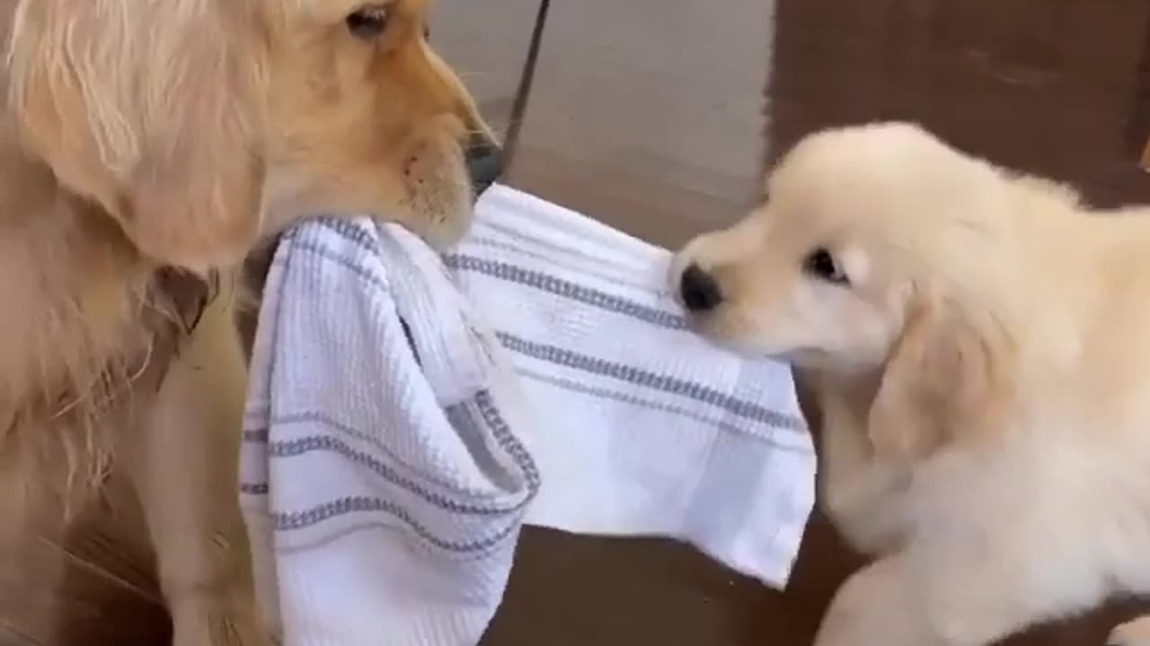 Cute