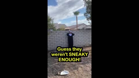 When she CHASES him with the BROOM! (For Entertainment Purposes Only)...