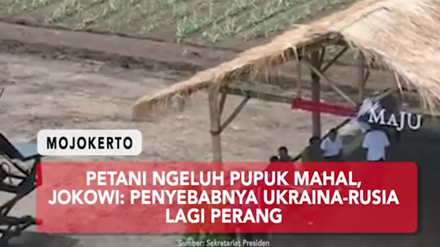 Farmers complaining about the expensive fertilizer,JOKOWI: Ukraine causes the war