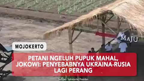 Farmers complaining about the expensive fertilizer,JOKOWI: Ukraine causes the war