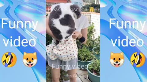 #Animals funny video 😄😄😄😄