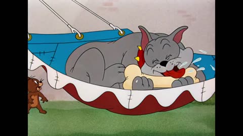 Tom & Jerry em Português | Brasil | Coletânea de desenhos clássicos | Tom, Jerry e Spike | WB Kids