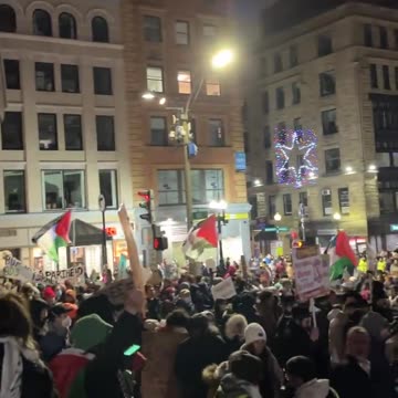 Boston — A large crowd of pro-Palestine protesters have occupied Boston Common
