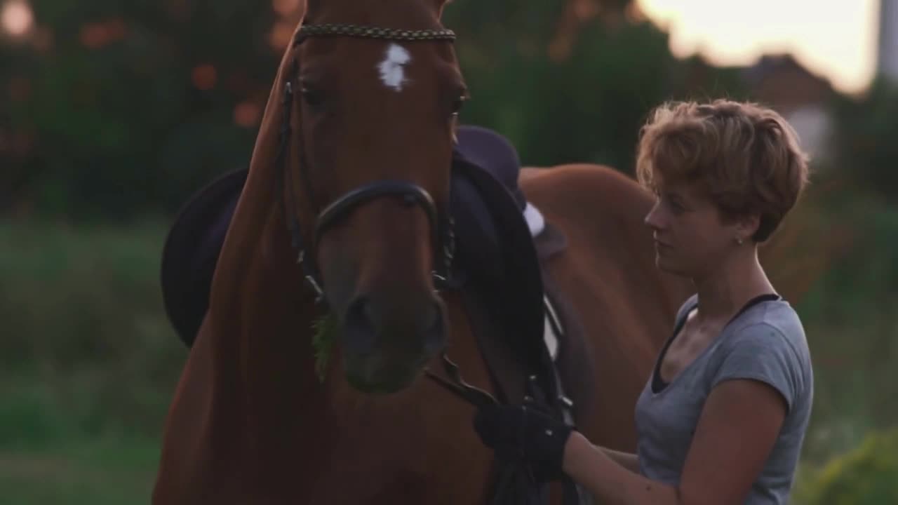 Young girl is holding the horse for the reins