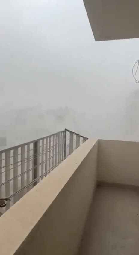 Depopulation plan . sad