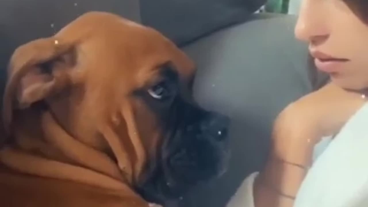 Don't pee in the house