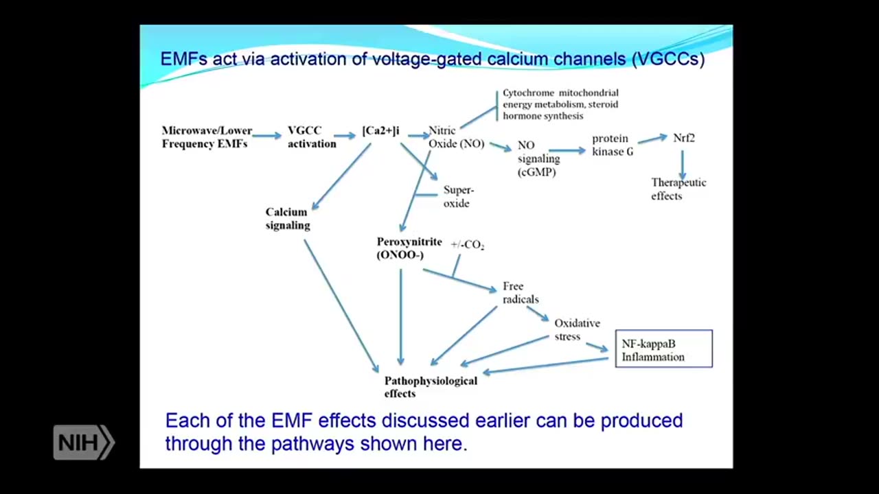 DIVERSE HEALTH EFFECTS of NON-THERMAL MICROWAVE EMF - WHY 5G WILL BE FAR WORSE - DR. MARTIN PALL