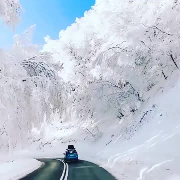 Winter Wonderland Along a Road in Greece