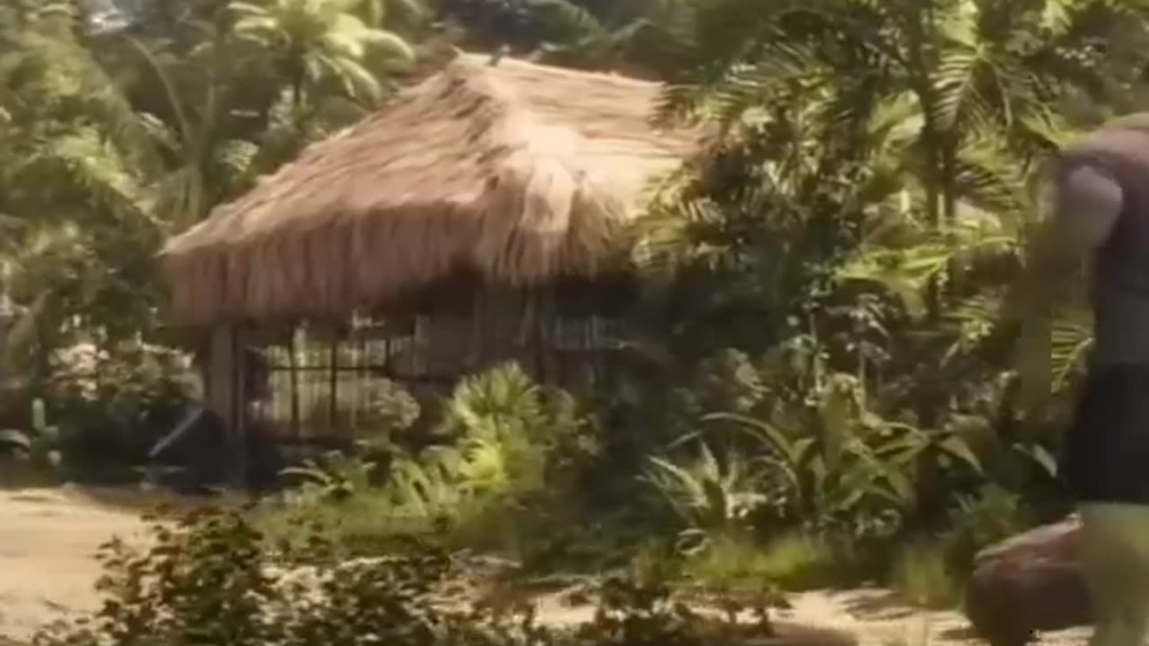 Hulk vs shehulk