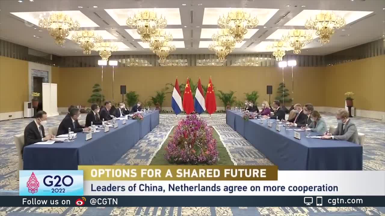 Leaders of China, Netherlands agree on more cooperation