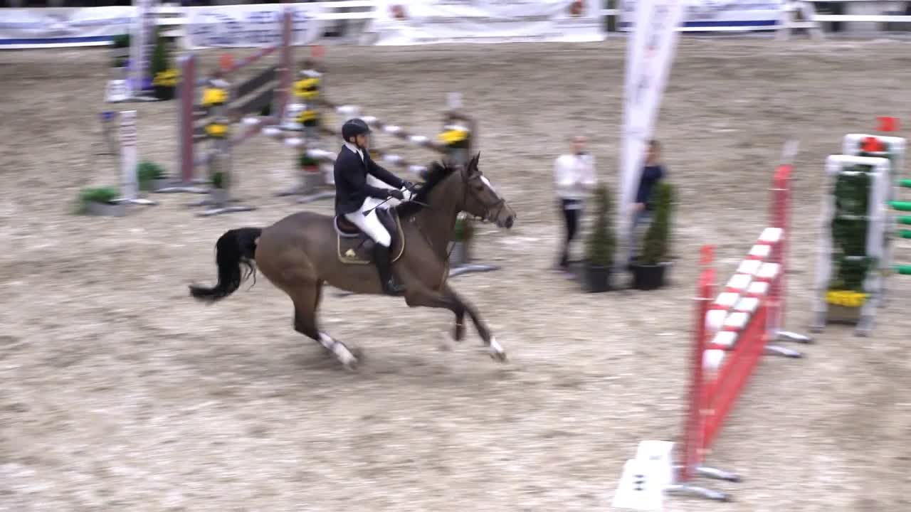 Professional jockey and his horse jump over the barrier