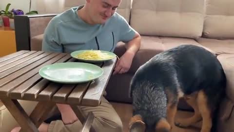 Spaghetti Eating Competition: My German Shepherd Puppy vs. Me