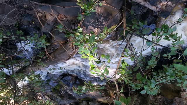 Guardian of Light - November 1 2022