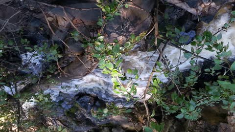 Guardian of Light - November 1 2022