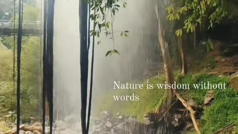 ~ Nature is wisdom without words