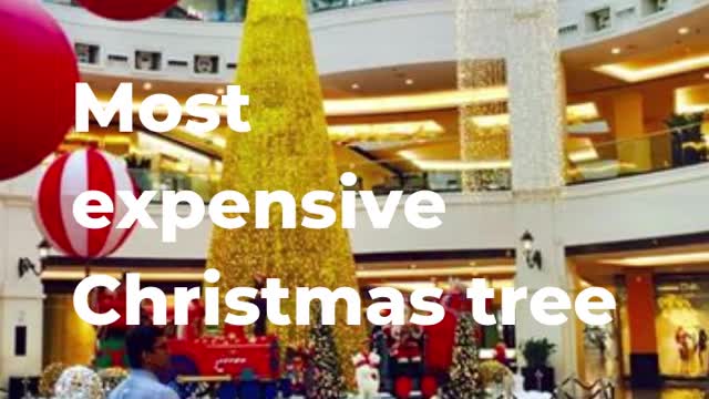 Most expensive Christmas tree 🎄