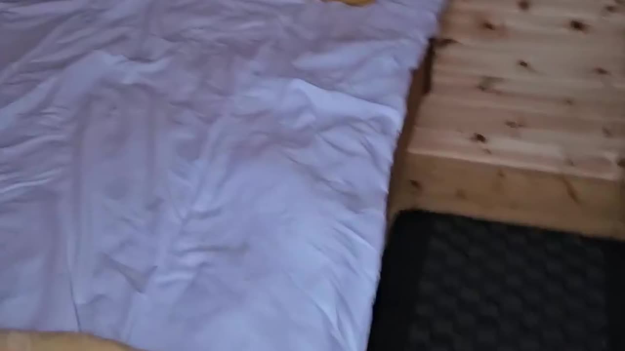 A HOUSE HEATED BY HONEYBEES