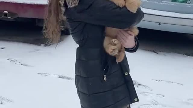 Bringing home a golden puppy like...