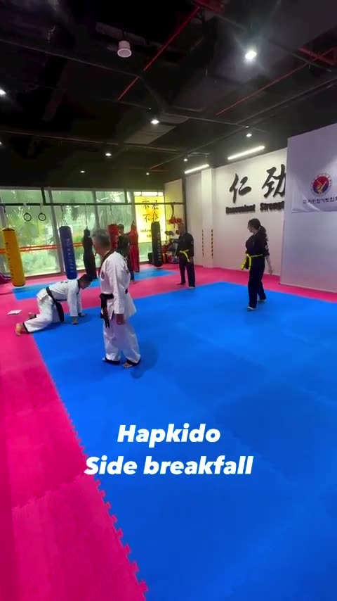 Hapkido