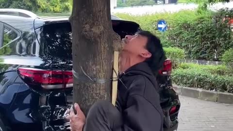 This guy cant stop hugging trees