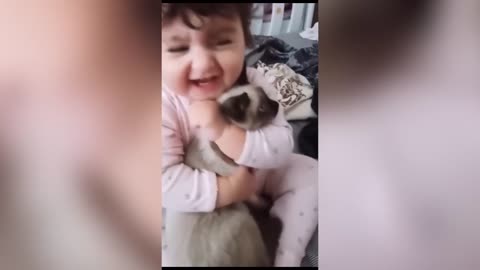 Meow: Help me!!! Funny videos