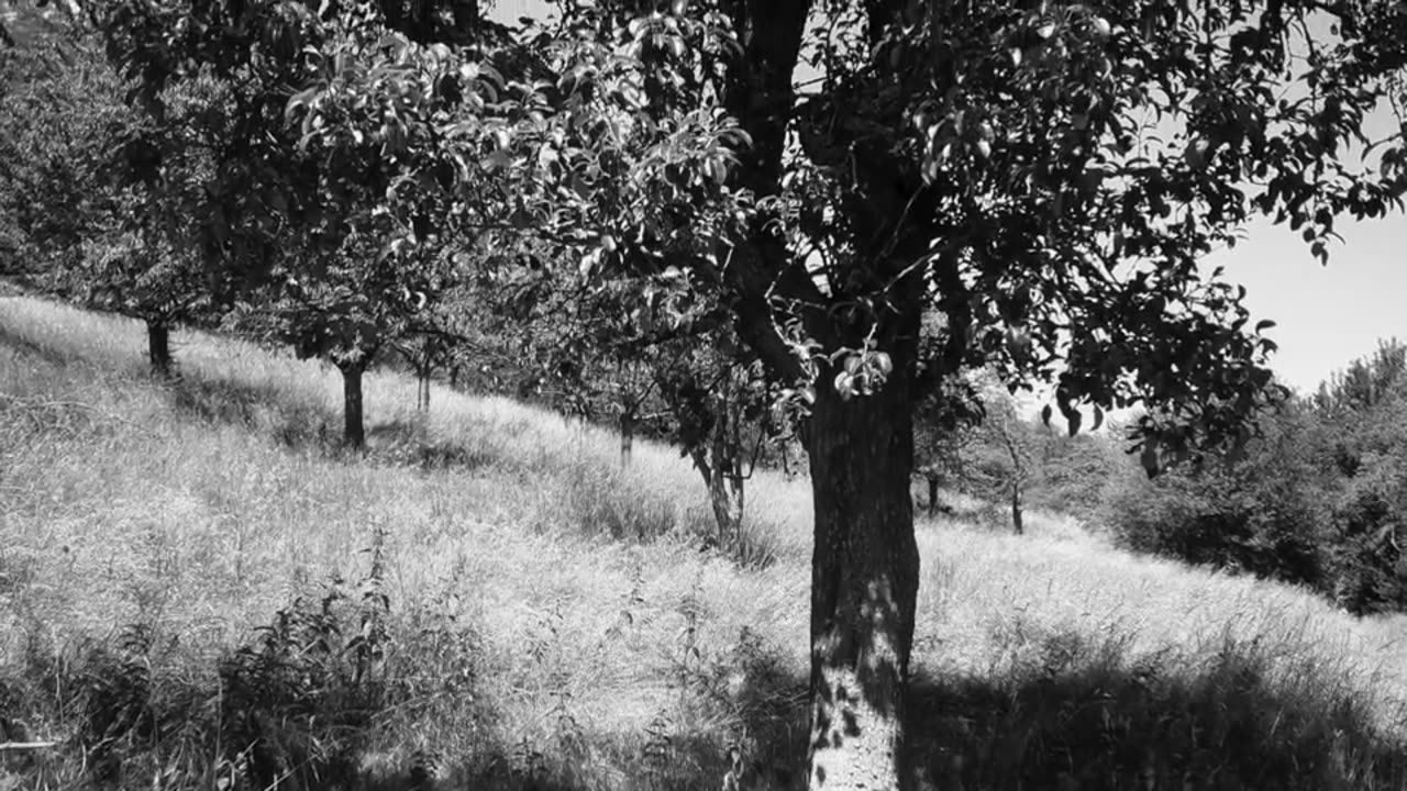 The Nation – Eric Owens | Нация - Эрик Оуэнс