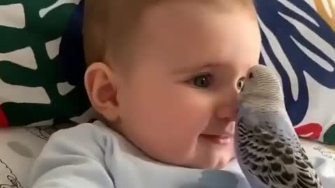 BABY AND BIRD