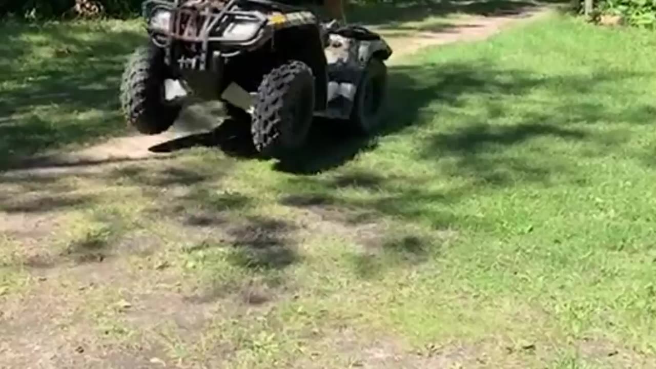 Crazy and Funny Videos!