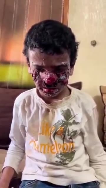 According to the Jewish Talmud, non-Jews are animals