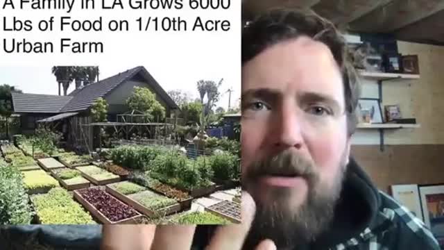 Owen Benjamin - Growing in Los Angeles