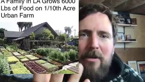 Owen Benjamin - Growing in Los Angeles