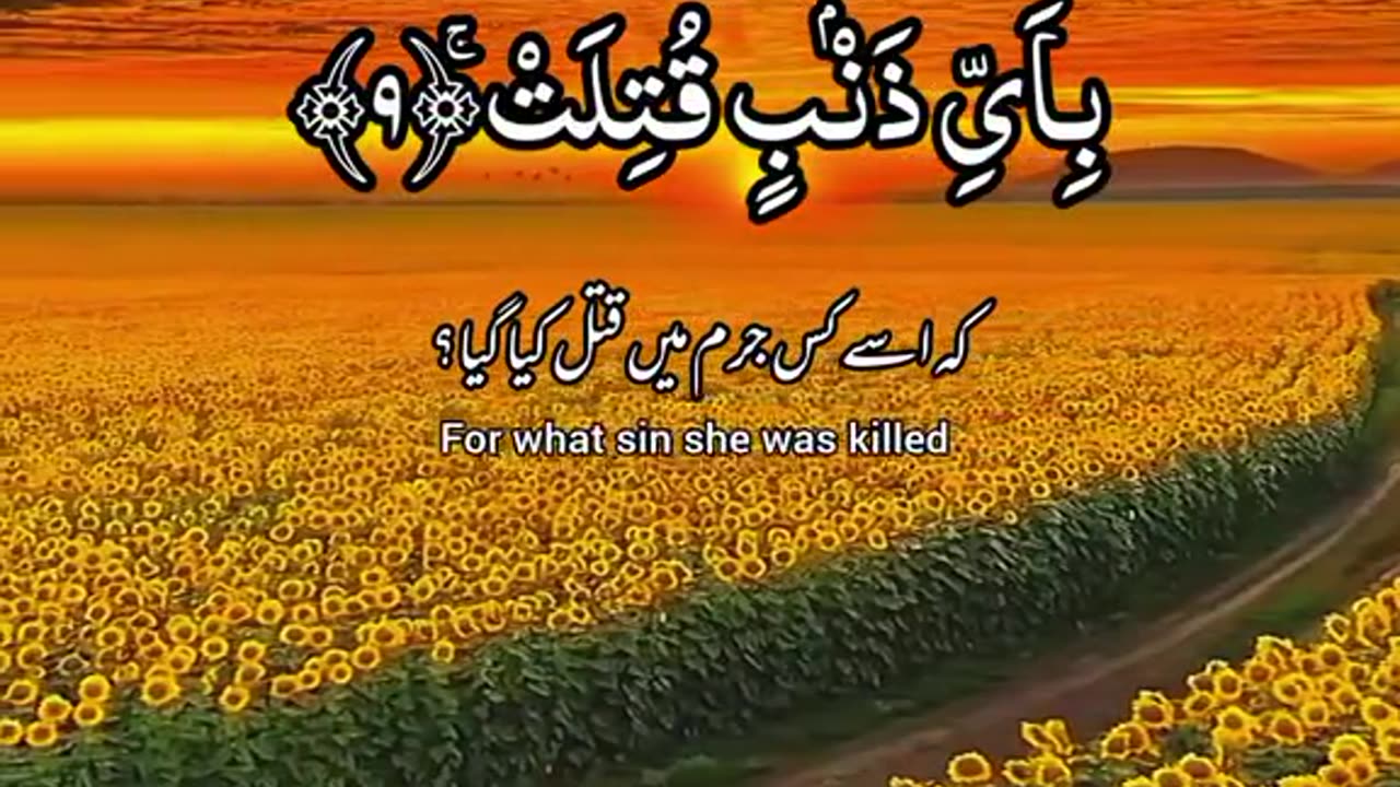 Tilawat E Qaran E Pak Recitation, Qurani Ayat TikTok Snake Videos