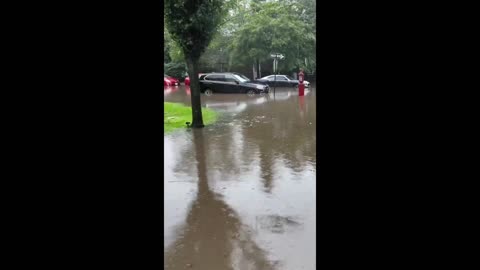 NYC Underwater