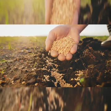 11 Best Investments in 2022 Part 12_#shorts