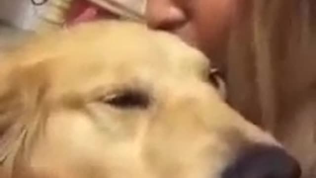 This video of people kissing their dogs on the head will MELT YOUR HEART!