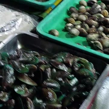 How many Seashell Seafood you can find here. A Place to go!! Philippines!!