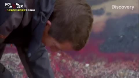 Man vs Wild