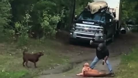 Guy Rescueing His Dog from Attract to mountain lion