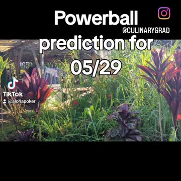 Powerball prediction for 05 29 24