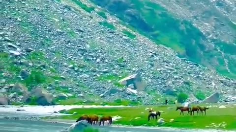 Natural beauty of Pakistan