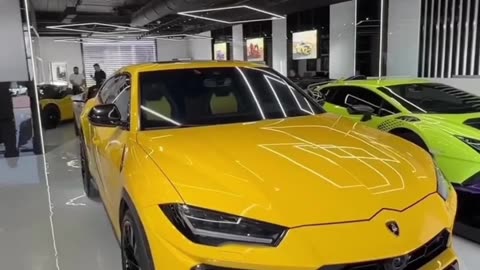 Car for 4 wives