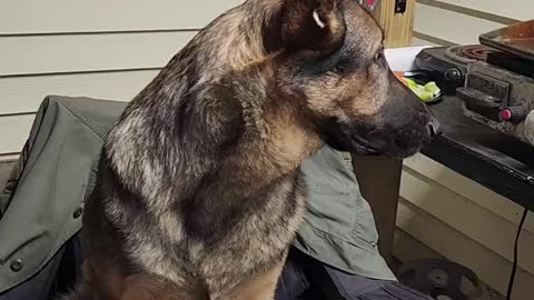 GSD