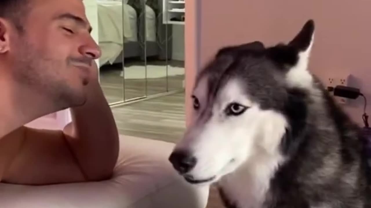 Husky Argues When Asking Her For A Kiss