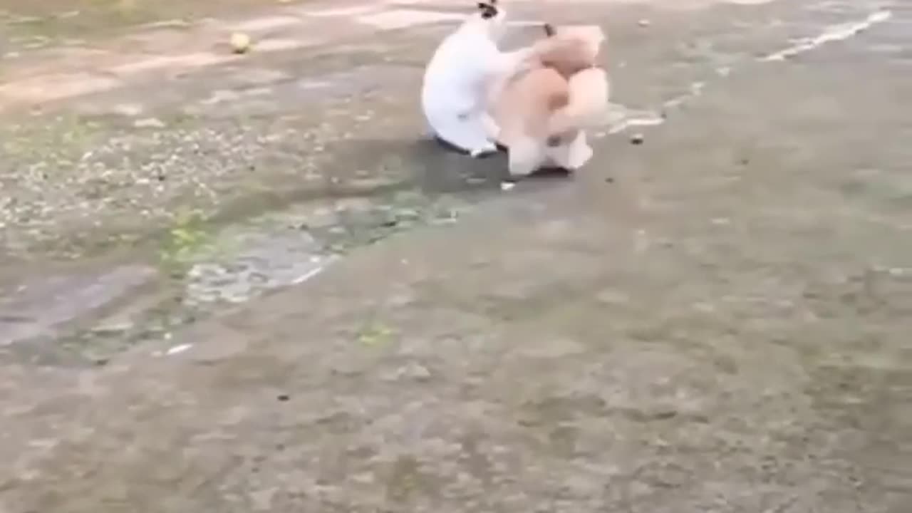 mama cat love for her kittens 🙏😱😍| Cuty kitty | #shorts
