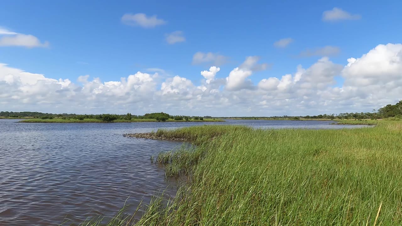 Shell Mound Cedar Key Fl