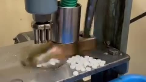 Making camphor